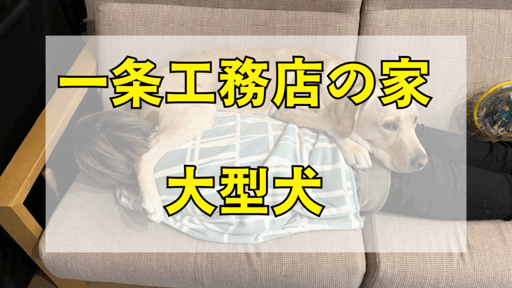 一条工務店×大型犬ラブラドール！快適に暮らす家づくり完全ガイド